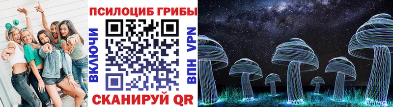 Псилоцибиновые грибы Psilocybine cubensis Арамиль